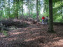 2011-05-07 KPF Wald 10.jpg
